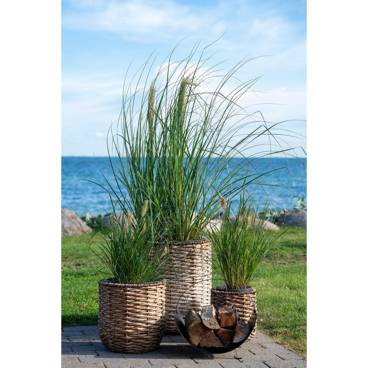 Pflanzkorb-Set aus Wasserhyazinthe, Natur, 3-teilig | VIA X SELECTION