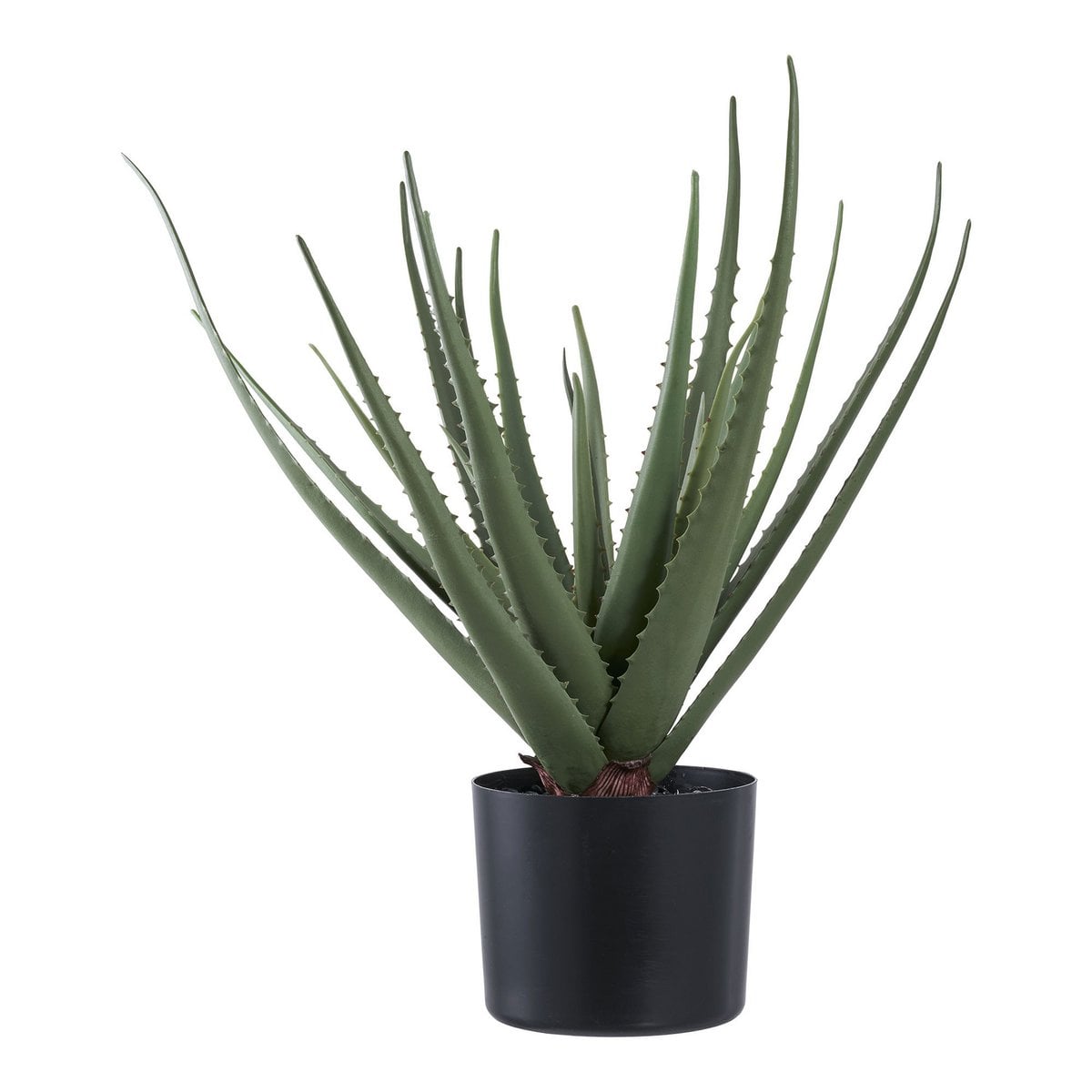 Aloe Vera Kunstpflanze 51 cm | VIA X SELECTION