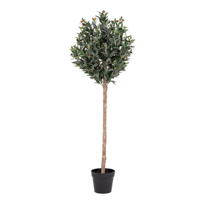 Olivenbaum Kunstpflanze 150 cm | VIA X SELECTION