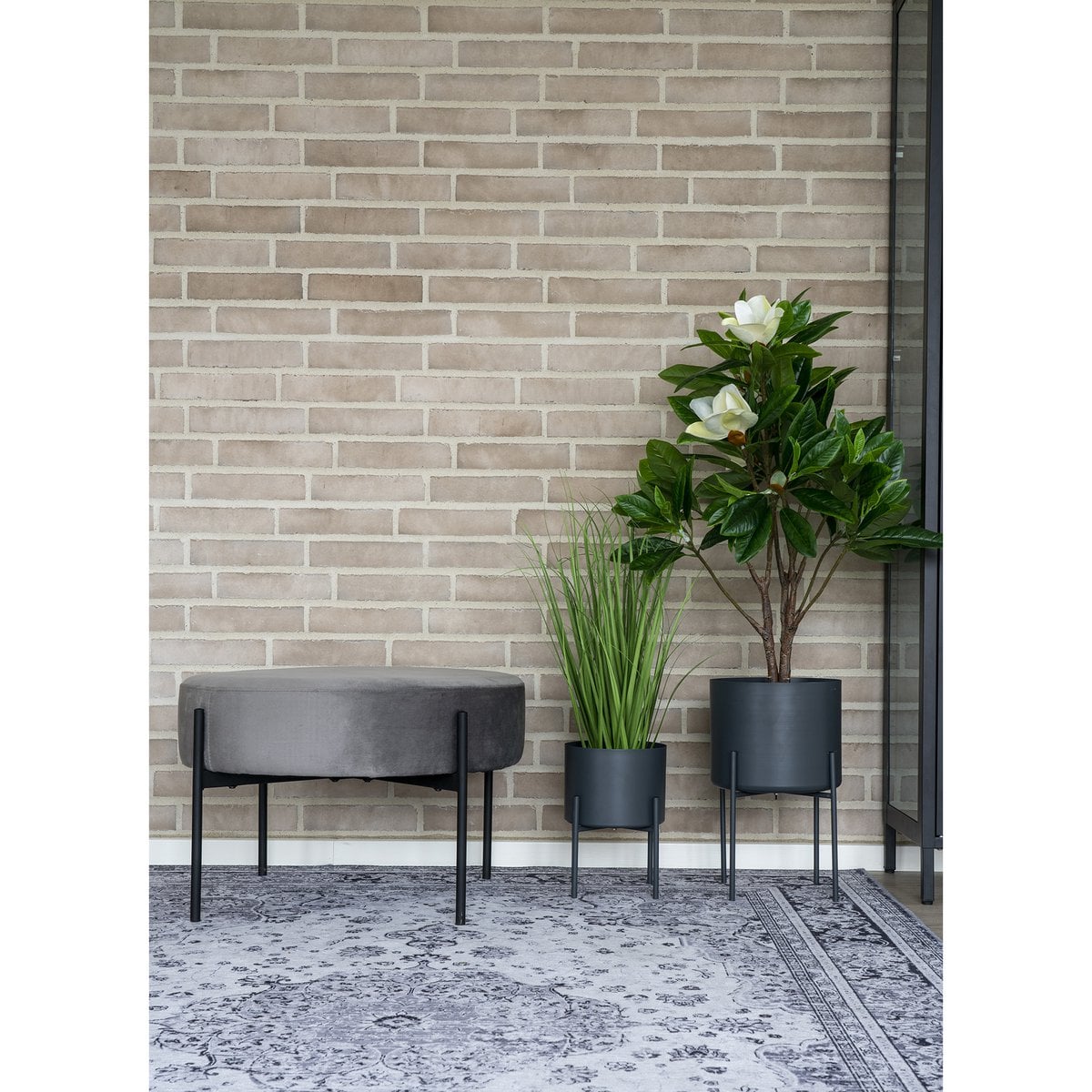 Teppich aus Chenille-Polyester schwarz-weiß, 160 × 230 cm | VIA X SELECTION
