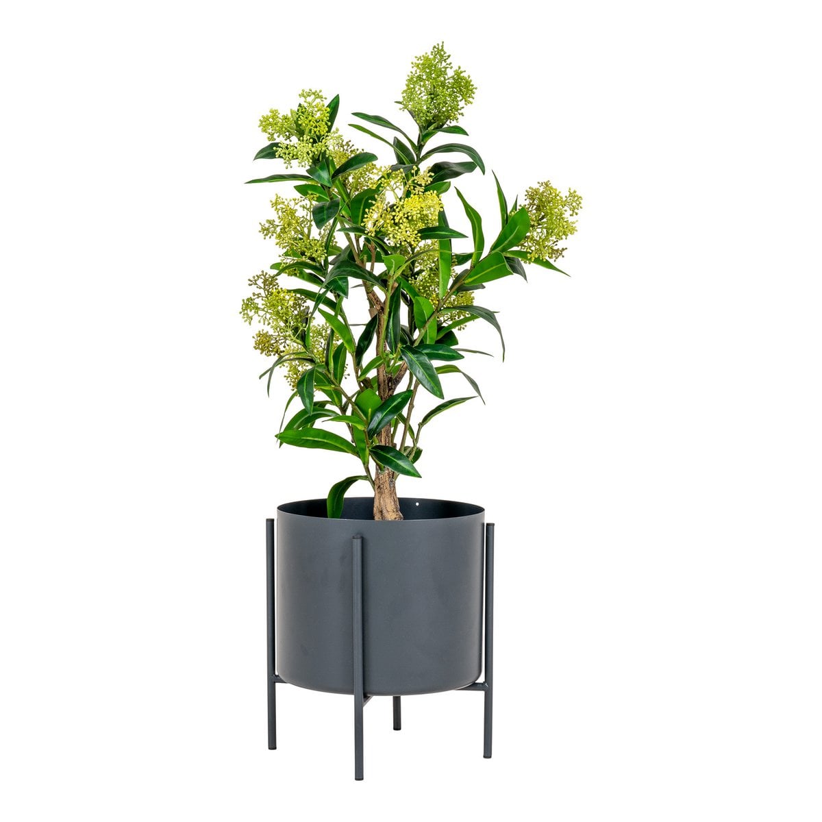 Skimmia Kunstpflanze 75 cm | VIA X SELECTION