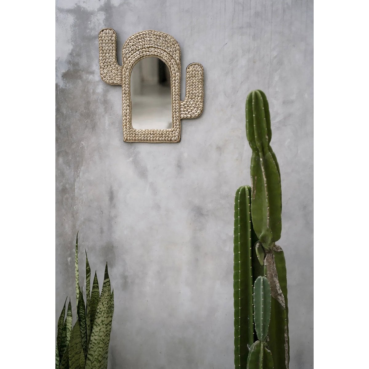 Kaktus-Wandspiegel mit Kaurimuscheln weiß, 38 × 40 cm | VIA X SELECTION