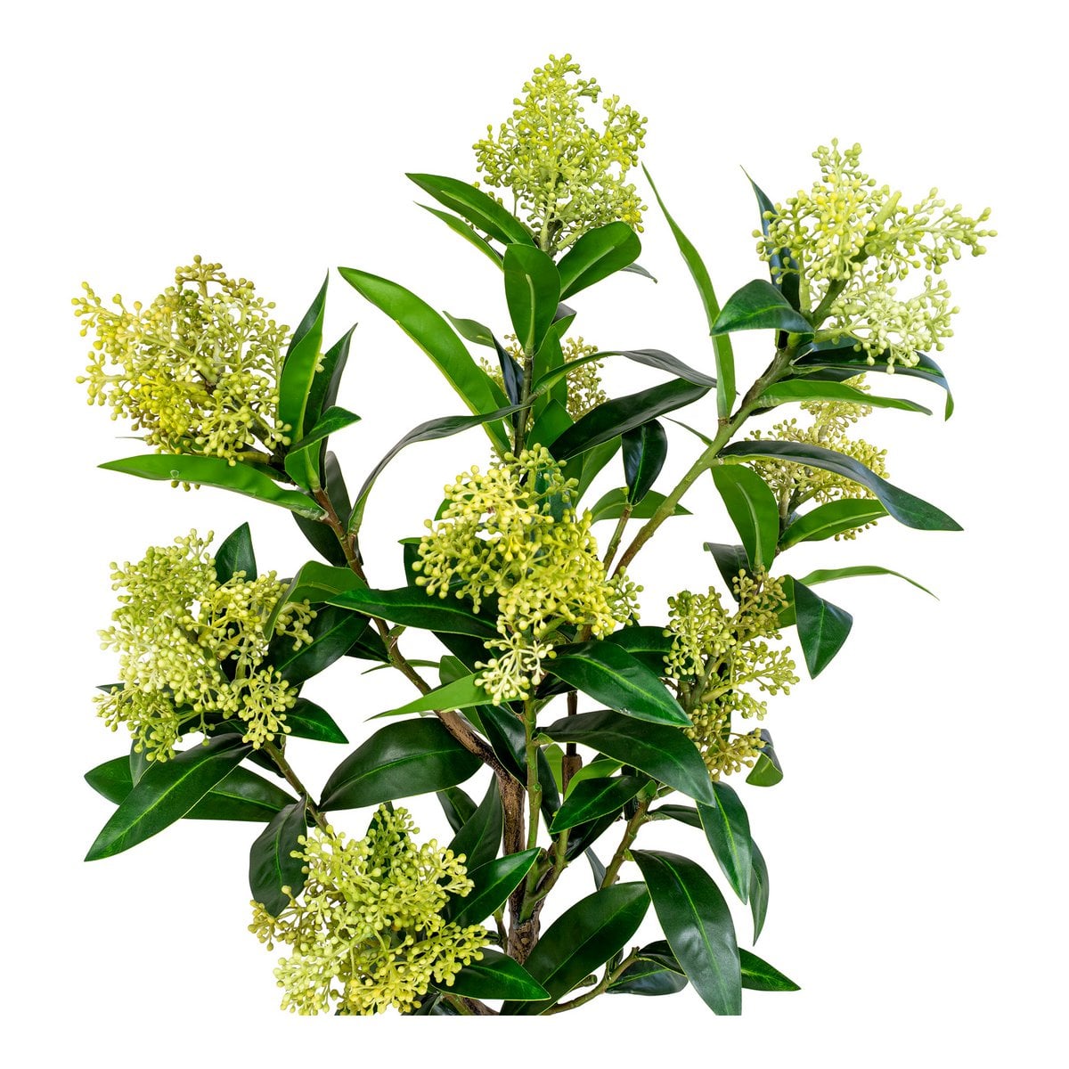 Skimmia Kunstpflanze 75 cm | VIA X SELECTION