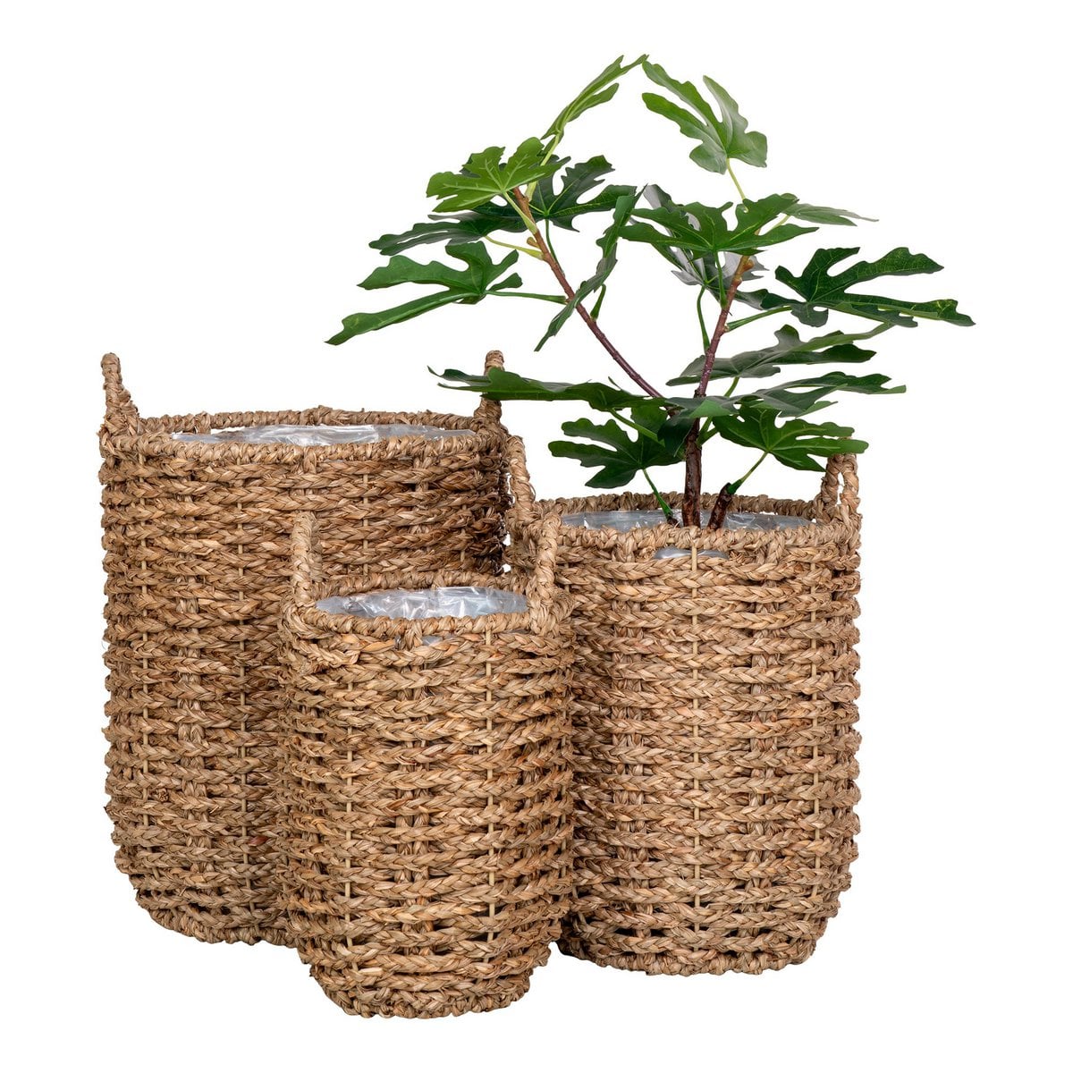 Pflanzkorb-Set aus Seegras, Natur, 3-teilig | VIA X SELECTION