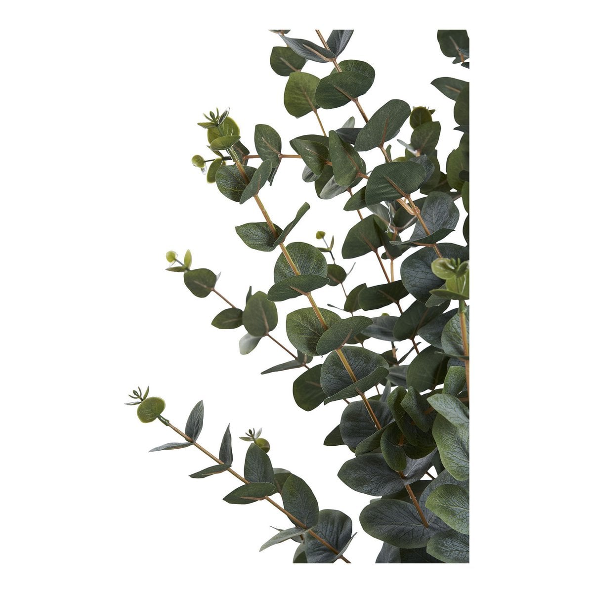 Eukalyptusbaum Kunstpflanze 120 cm | VIA X SELECTION