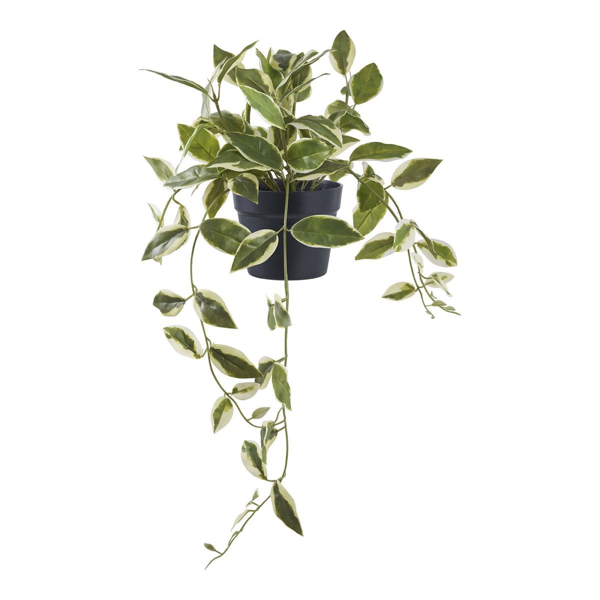 Hoya Carnosa Kunstblume 33 cm | VIA X SELECTION