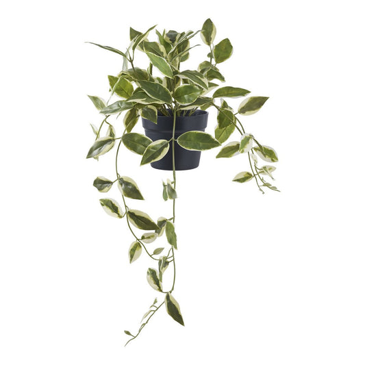 Hoya Carnosa Kunstblume 33 cm | VIA X SELECTION
