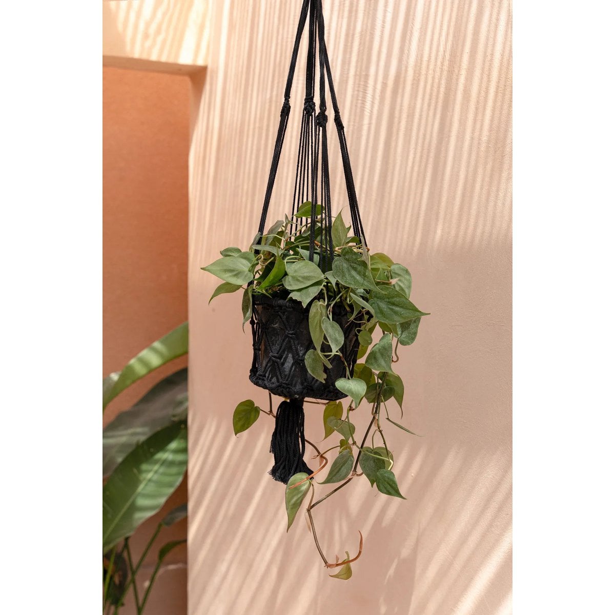 Makramee-Pflanzenhalter aus Baumwolle, Schwarz, 25 ×, 25 × 100 cm | VIA X SELECTION