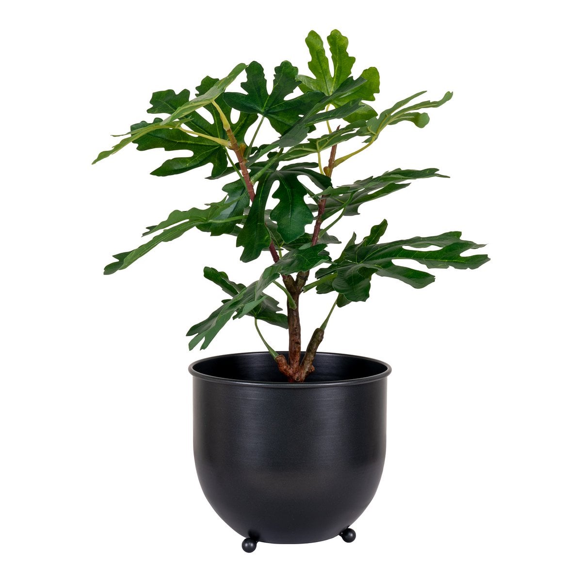Feigenbaum Kunstpflanze 53 cm | VIA X SELECTION