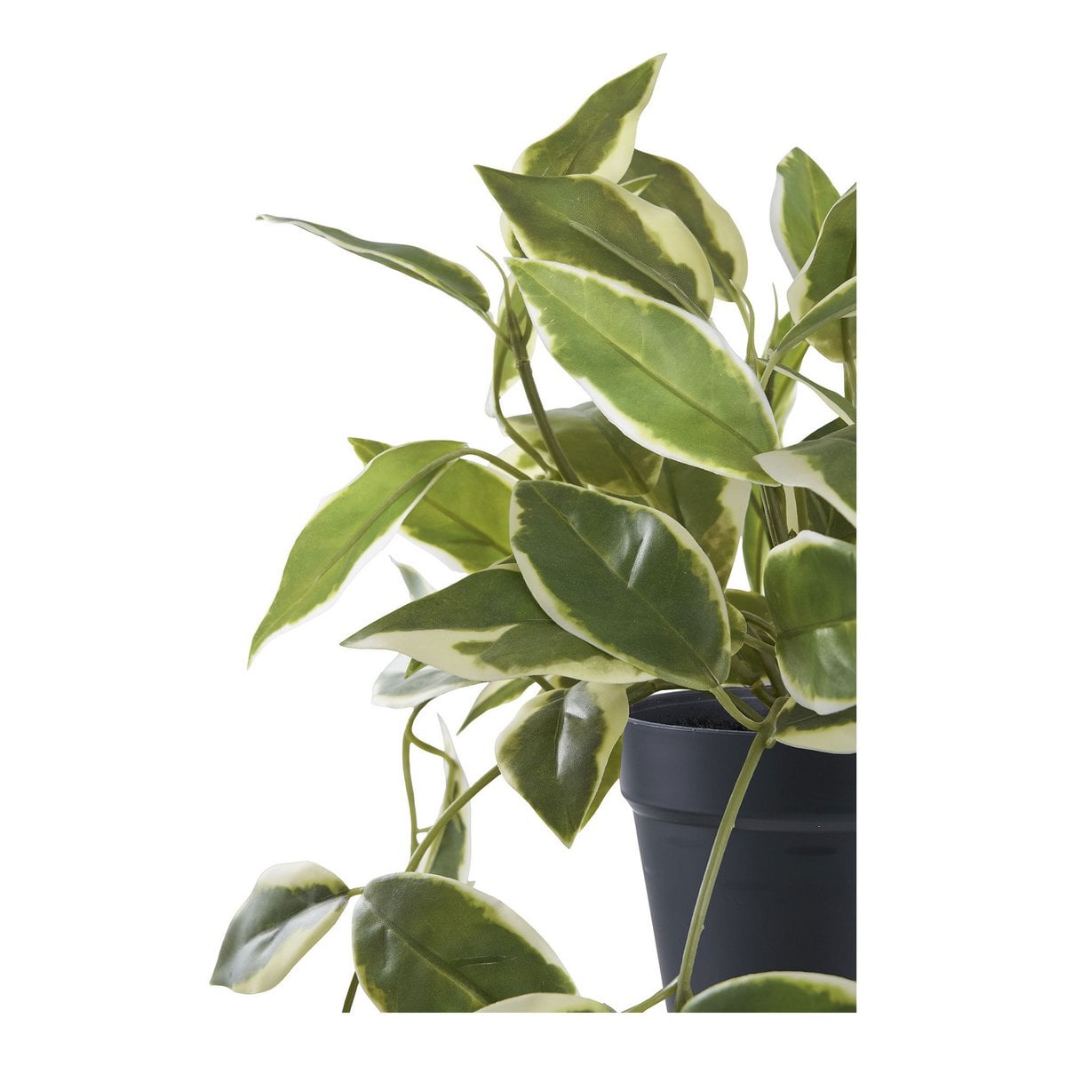 Hoya Carnosa Kunstblume 33 cm | VIA X SELECTION