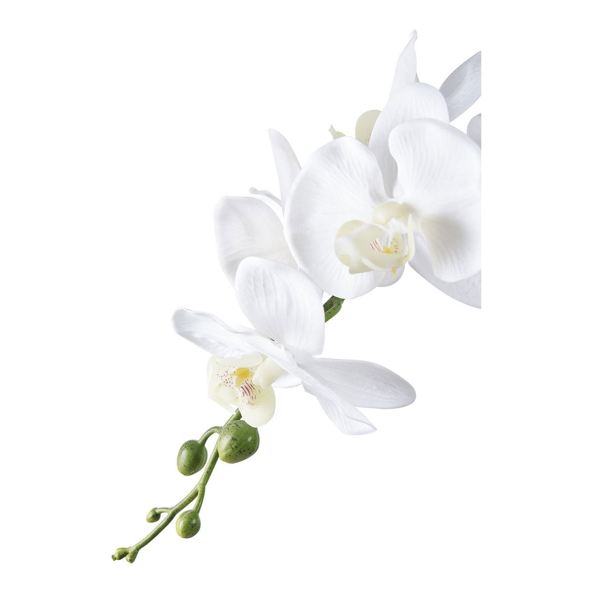 Orchidee Kunstblume weiß 47 cm | VIA X SELECTION