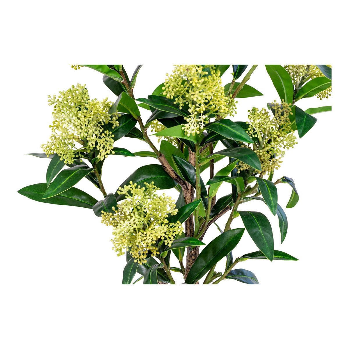 Skimmia Kunstpflanze 75 cm | VIA X SELECTION