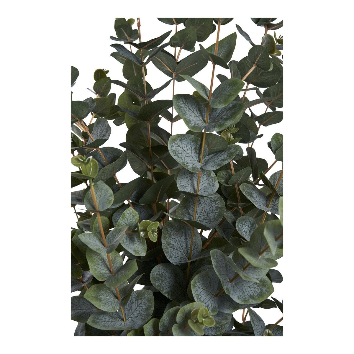 Eukalyptusbaum Kunstpflanze 120 cm | VIA X SELECTION