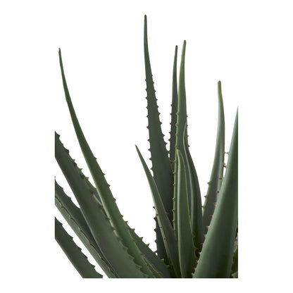 Aloe Vera Kunstpflanze 51 cm | VIA X SELECTION
