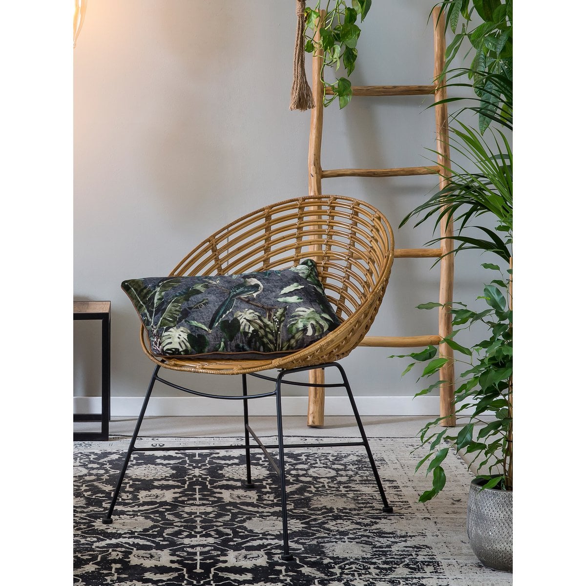 Rattansessel mit Schalensitz | VIA X SELECTION