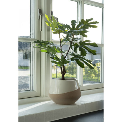 Feigenbaum Kunstpflanze 53 cm | VIA X SELECTION
